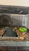 lew12001 Altpins Profile Picture