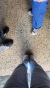 lew12001 Altpins Profile Picture