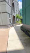 lew12001 Altpins Profile Picture