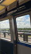 lew12001 Altpins Profile Picture