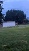 lew12001 Altpins Profile Picture