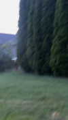 lew12001 Altpins Profile Picture