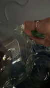 lew12001 Altpins Profile Picture