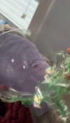 lew12001 Altpins Profile Picture
