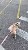 lew12001 Altpins Profile Picture