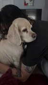 lew12001 Altpins Profile Picture