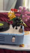 lew12001 Altpins Profile Picture
