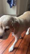 lew12001 Altpins Profile Picture