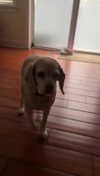 lew12001 Altpins Profile Picture