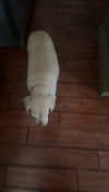 lew12001 Altpins Profile Picture