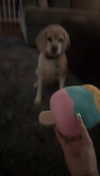 lew12001 Altpins Profile Picture