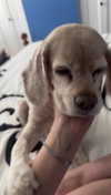 lew12001 Altpins Profile Picture