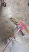 lew12001 Altpins Profile Picture