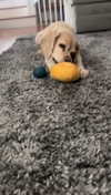lew12001 Altpins Profile Picture