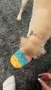 lew12001 Altpins Profile Picture