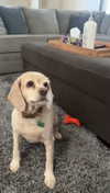 lew12001 Altpins Profile Picture
