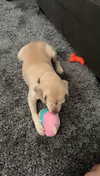 lew12001 Altpins Profile Picture