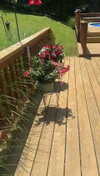 lew12001 Altpins Profile Picture