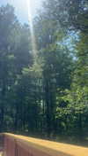 lew12001 Altpins Profile Picture