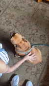 lew12001 Altpins Profile Picture