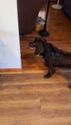 lew12001 Altpins Profile Picture