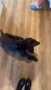 lew12001 Altpins Profile Picture