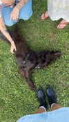 lew12001 Altpins Profile Picture
