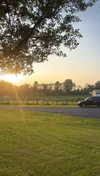 lew12001 Altpins Profile Picture