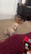 lew12001 Altpins Profile Picture