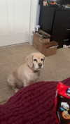 lew12001 Altpins Profile Picture