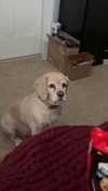 lew12001 Altpins Profile Picture