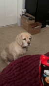 lew12001 Altpins Profile Picture