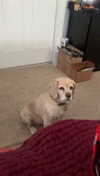 lew12001 Altpins Profile Picture