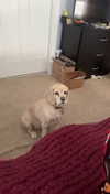 lew12001 Altpins Profile Picture