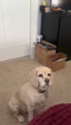 lew12001 Altpins Profile Picture