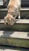 lew12001 Altpins Profile Picture