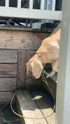 lew12001 Altpins Profile Picture