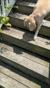 lew12001 Altpins Profile Picture
