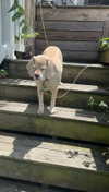 lew12001 Altpins Profile Picture
