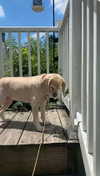 lew12001 Altpins Profile Picture