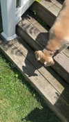 lew12001 Altpins Profile Picture