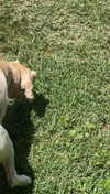 lew12001 Altpins Profile Picture