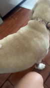 lew12001 Altpins Profile Picture