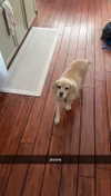 lew12001 Altpins Profile Picture
