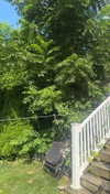 lew12001 Altpins Profile Picture