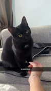lew12001 Altpins Profile Picture