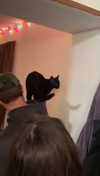 lew12001 Altpins Profile Picture