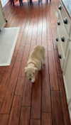 lew12001 Altpins Profile Picture