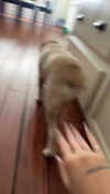 lew12001 Altpins Profile Picture