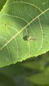 lew12001 Altpins Profile Picture